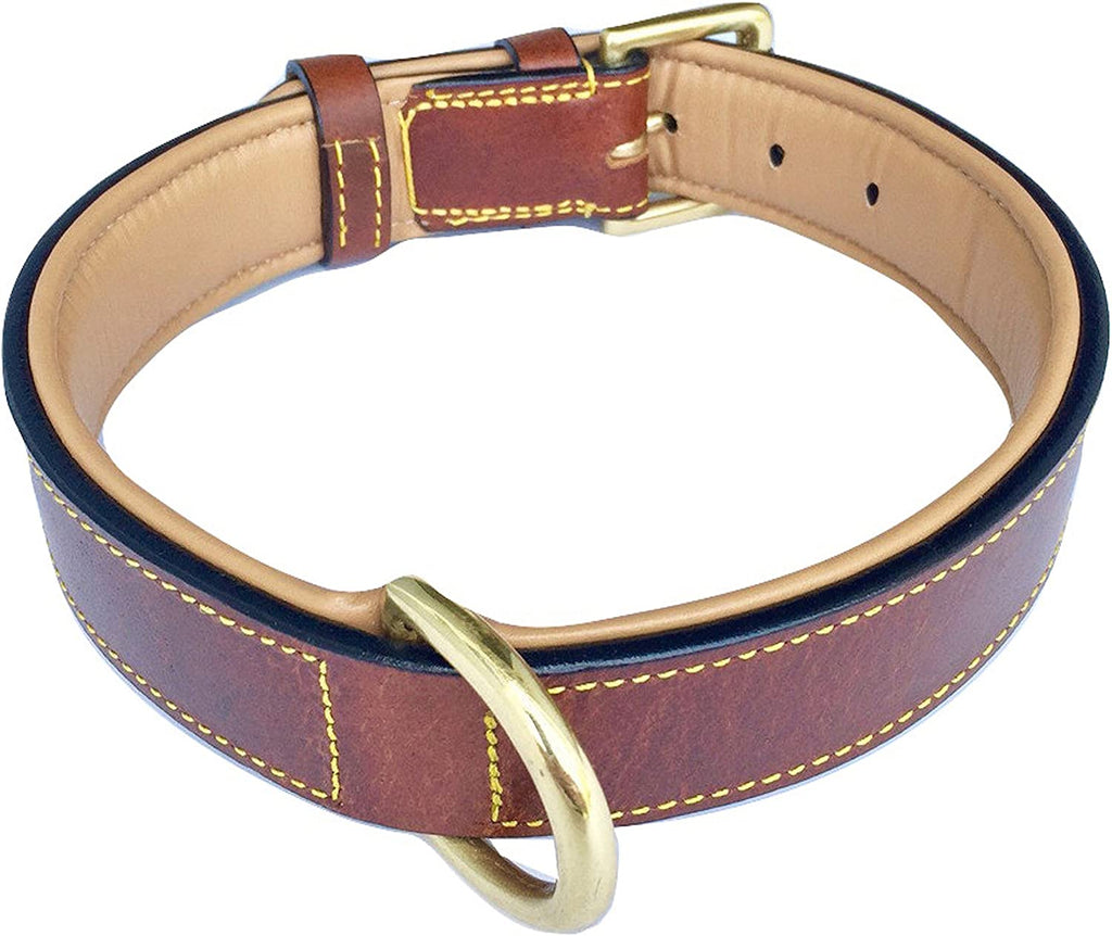 Luxurious Brown XL Leather Padded Dog Collar – Perfect Fit for Large Breeds (22" to 25" Neck Size)