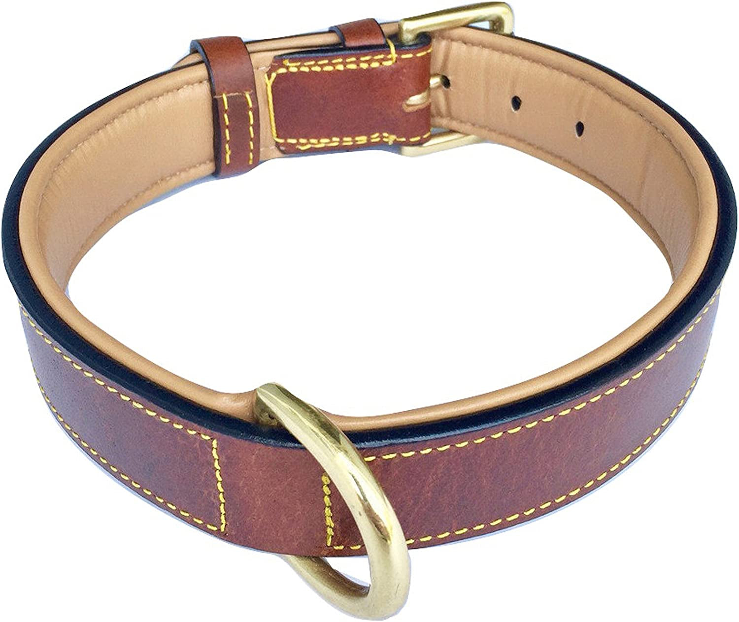 Luxurious Brown XL Leather Padded Dog Collar – Perfect Fit for Large Breeds (22" to 25" Neck Size)